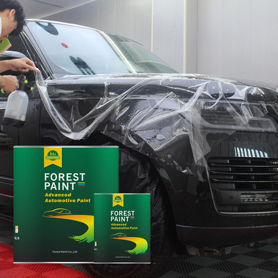 ISO9001 2K Auto Paint Pigment Car Paint Colors Chameleon Multi Color Pearl Mica